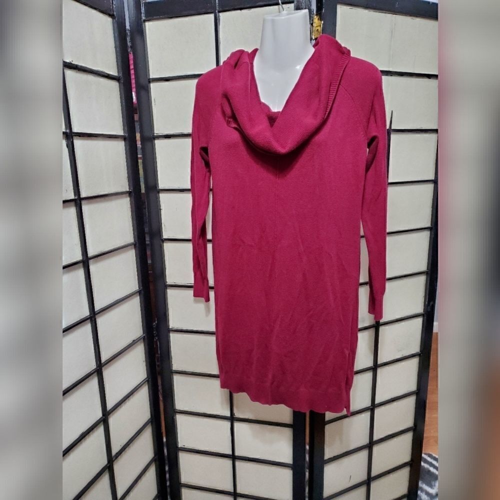 Express Cowl Neck Sweater Dress